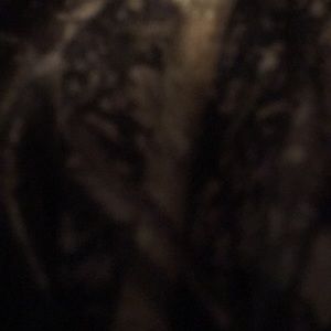 Meet your Posher, Keele